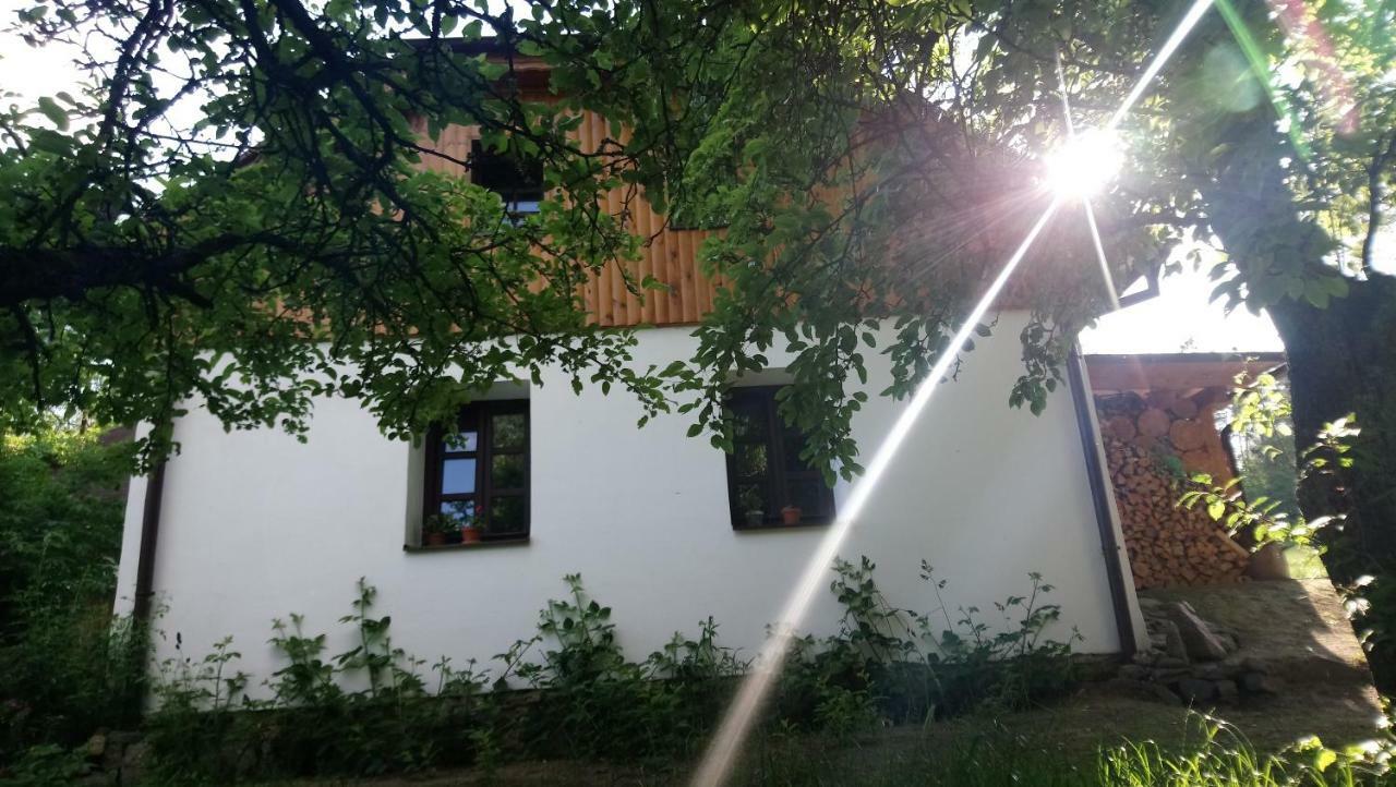 Forest Rustic Apartment Brdy Vesin المظهر الخارجي الصورة